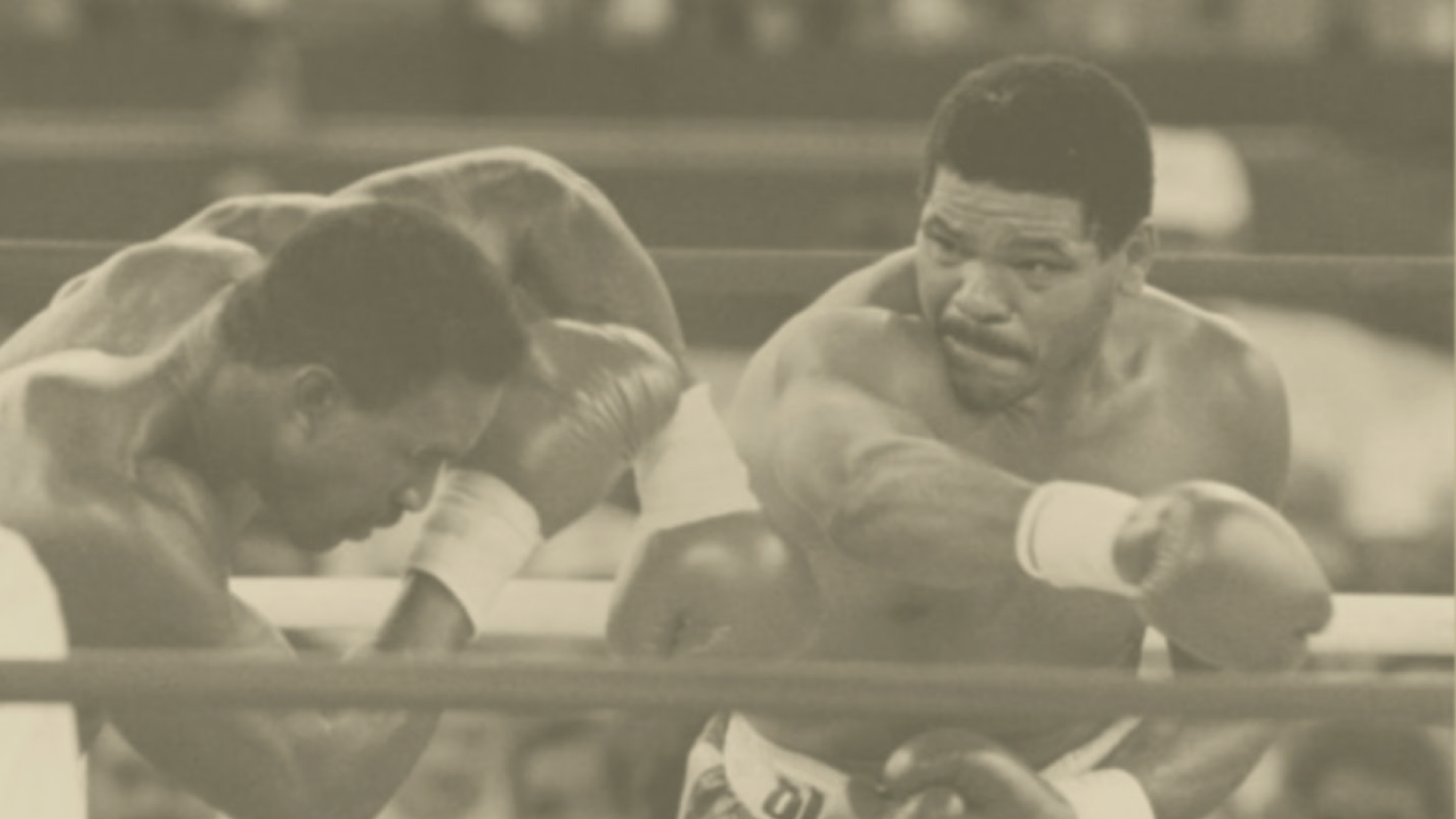 Welcome Maguila - Livro Irani.pdf (2).png