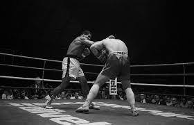 images - 2025-04-03T154530.197.jpeg